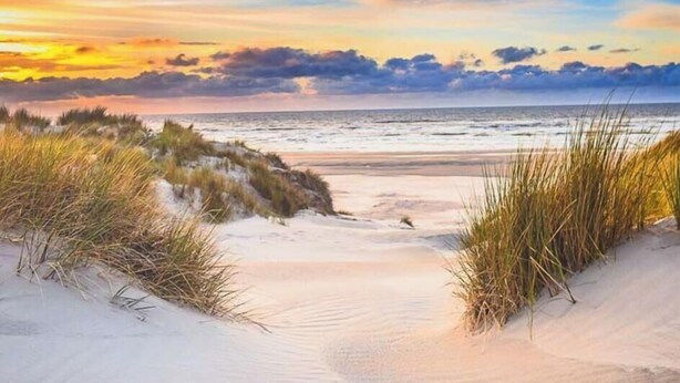 Une plage avec des dunes de sable et de l’herbe au premier plan, qui s’étend jusqu’à l’océan.