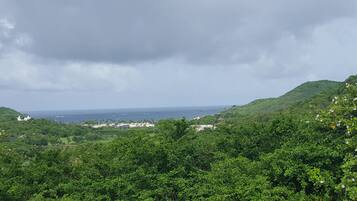 Näkymä rannalle/valtamerelle