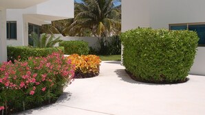 A modern building with a pathway lined with colorful flower beds and neatly trimmed hedges. - Oceanfront Luxury Townhome Condo Wifi 3 Smart TV'S Pool & Spa (Puerto Morelos)
