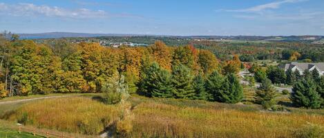 Una vista panorámica de un parque con valla de madera, zonas verdes y árboles de colores otoñales.