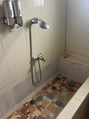 Shower, towels, toilet paper