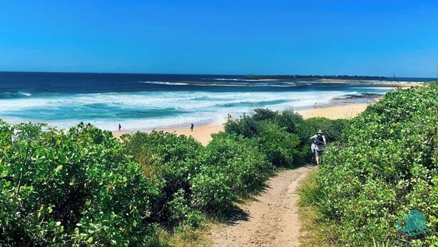 A coastal path leading to a beach with ocean views. - The Sanctuary By The Sea – family and Pet Friendly, walk to the Beach (Catherine Hill Bay)