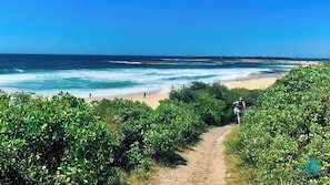 A coastal path leading to a beach with ocean views. - The Sanctuary By The Sea – family and Pet Friendly, walk to the Beach (Catherine Hill Bay)