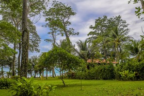 Property grounds - Romantic, treetop getaway w/ hammocks, jungle, & beach views (Cabo Matapalo)