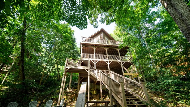 A multi-level wooden structure with a staircase, surrounded by trees.