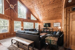 Smart TV, DVD player, books, video library