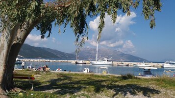 Vista desde la propiedad