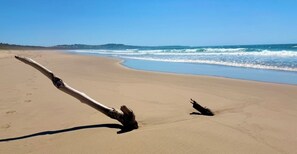 A sandy beach with two large driftwood pieces and footprints.