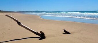 Superking suite! Immense salle de bain!<br>Confidentialité dans la forêt, à 10 minutes des plages! 