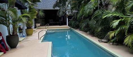 A pool area with a clear view of the water, surrounded by lush tropical plants and a covered seating area.