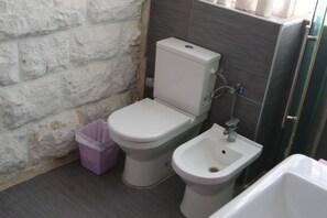 Combined shower/tub, free toiletries, hair dryer, towels