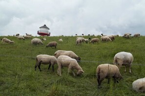 Unclassified image, 5 of 22, button