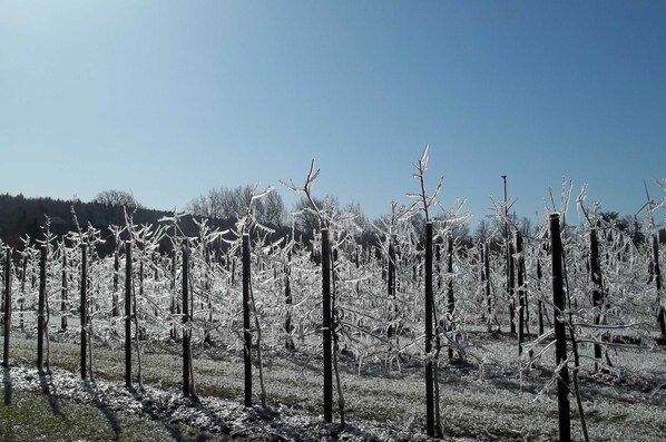 Unclassified image, 1 of 22, button