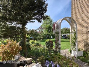 Immagine non classificata, 4 di 22, pulsante