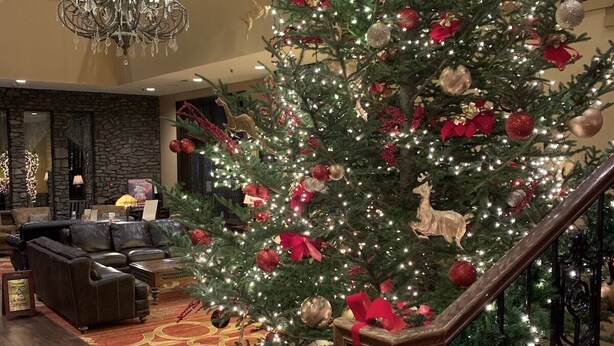 Un amplio salón con un gran árbol de Navidad, una araña y una escalera con alfombra roja.