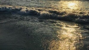 Una playa con olas y reflejos de sol en el agua.