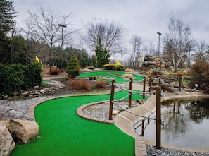 A miniature golf course with a green putting surface, a pond, and surrounding landscaping.
