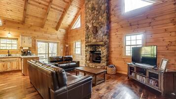 Smart TV, chimenea, reproductor de DVD y videoteca