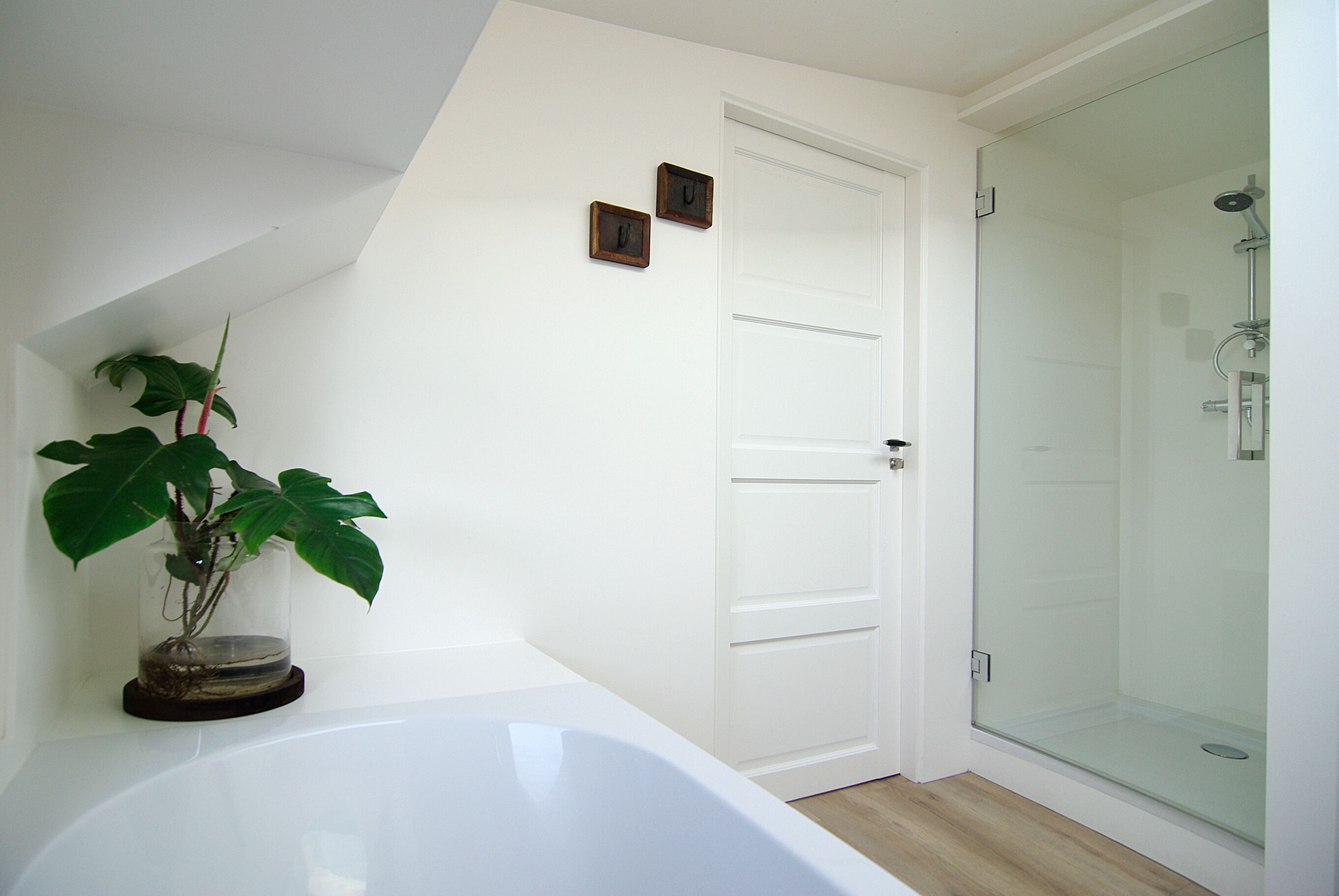 A bathroom with a bathtub, a glass shower enclosure, and a potted plant.