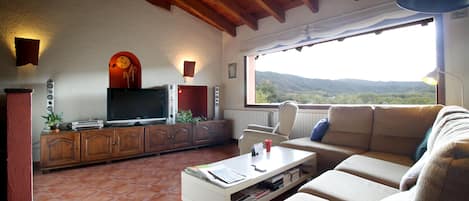 Televisión, chimenea y libros