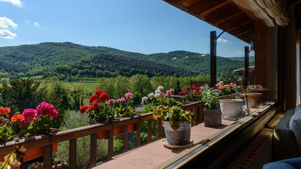 A balcony with potted plants and a view of a green valley.