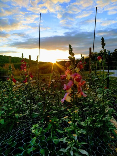 Gnome away from home