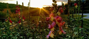 Gnome away from home