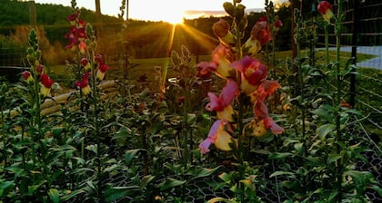 Gnome away from home