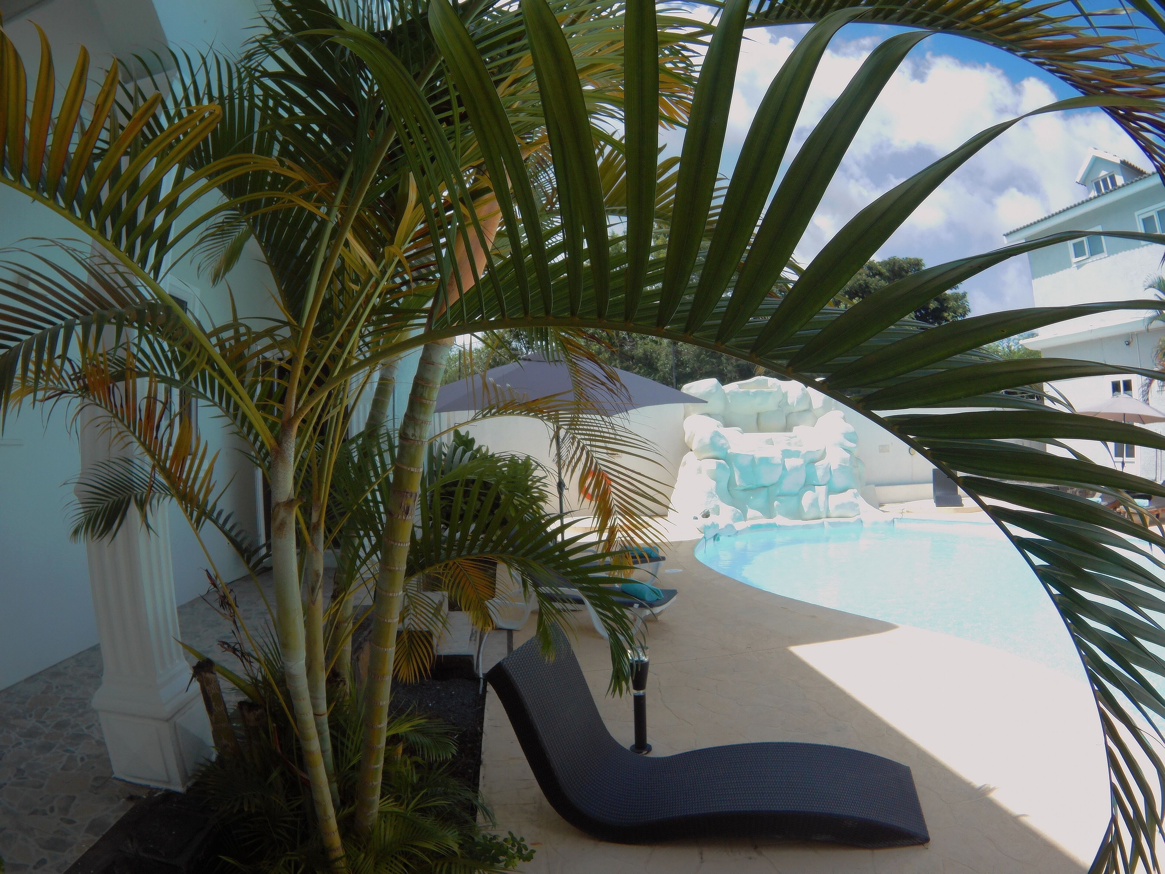 A pool area with lounge chairs, palm trees, and a view of a building in the background.