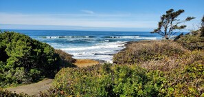 Beach - Tide Walk~ Ocean View Yachats (Yachats)