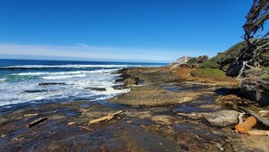Beach - Tide Walk~ Ocean View Yachats (Yachats)