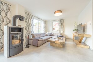 Smart TV, fireplace, DVD player, books