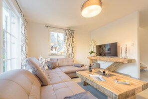 Smart TV, fireplace, DVD player, books