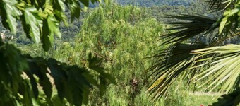 Mas del siglo XVIII en el Bandol