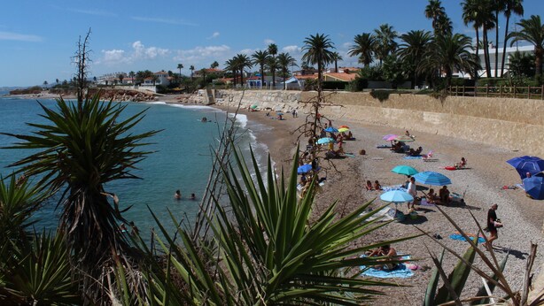 Una playa con palmeras, gente tomando el sol y sombrillas.