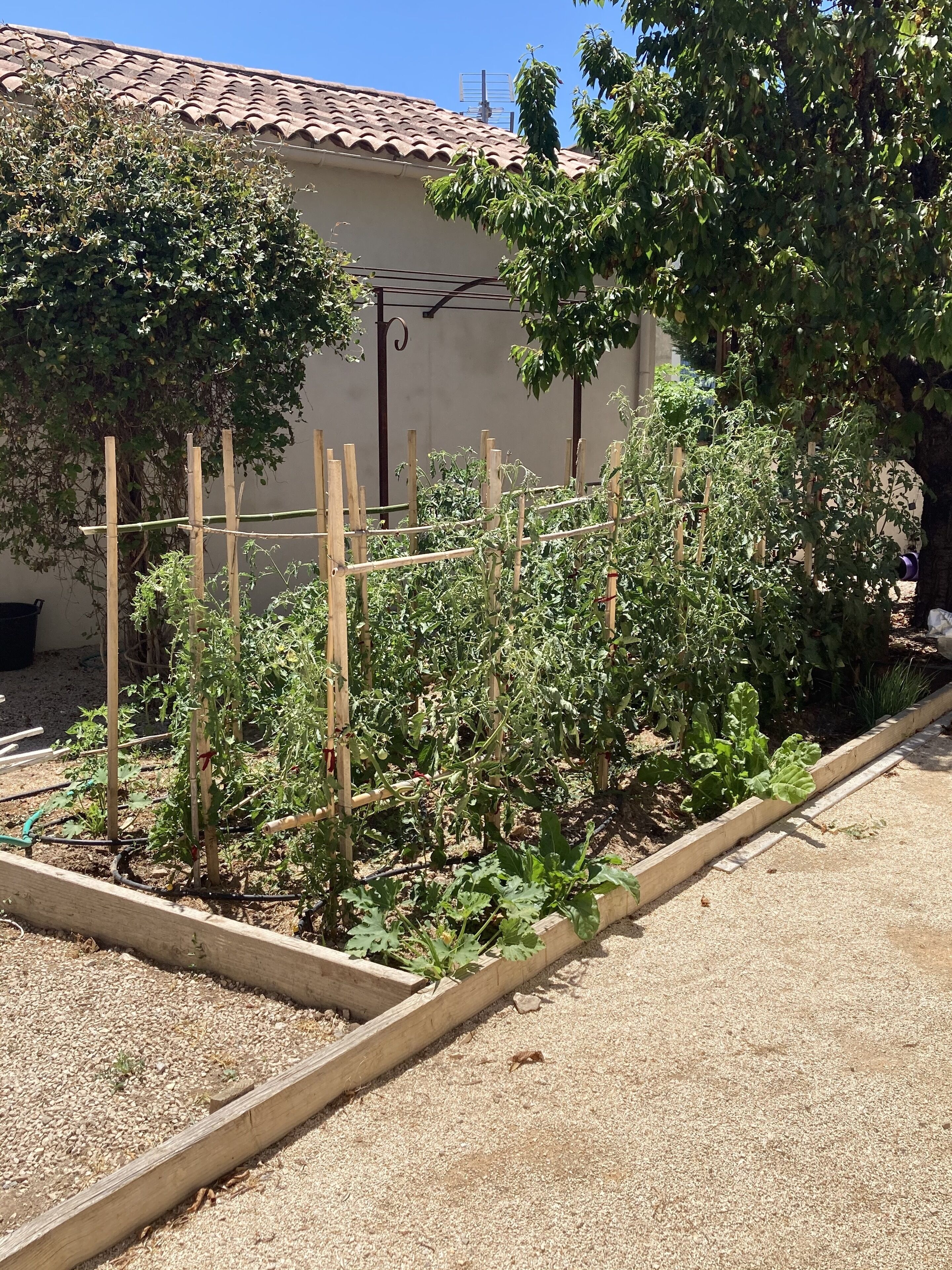 Un jardín con jardineras elevadas y una pérgola.