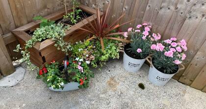 Emplacement central, WIFI gratuit sans restriction et parking gratuit sans restriction