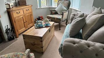 Smart TV, fireplace, books, music library