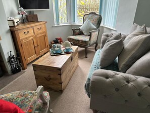 Smart TV, fireplace, books, music library