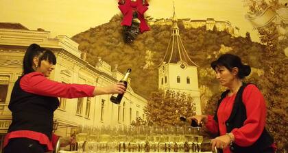 Complex Turistic Max International