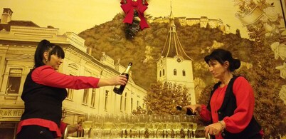 Complex Turistic Max International