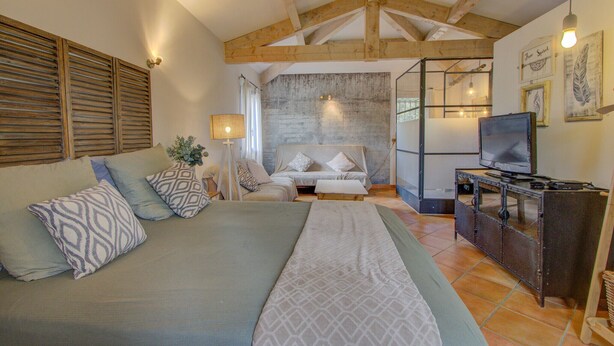 A bedroom with a bed, a sofa, a TV, and a stone wall.