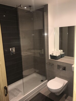 Combined shower/tub, hair dryer, towels, toilet paper