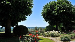 A garden with trees, a gravel path, and a view of the landscape. - Villa Cenami on hilltop - Alba apartment - big POOL with view near by seaside (Massarosa)