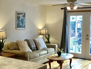 TV, DVD player, ping pong, books