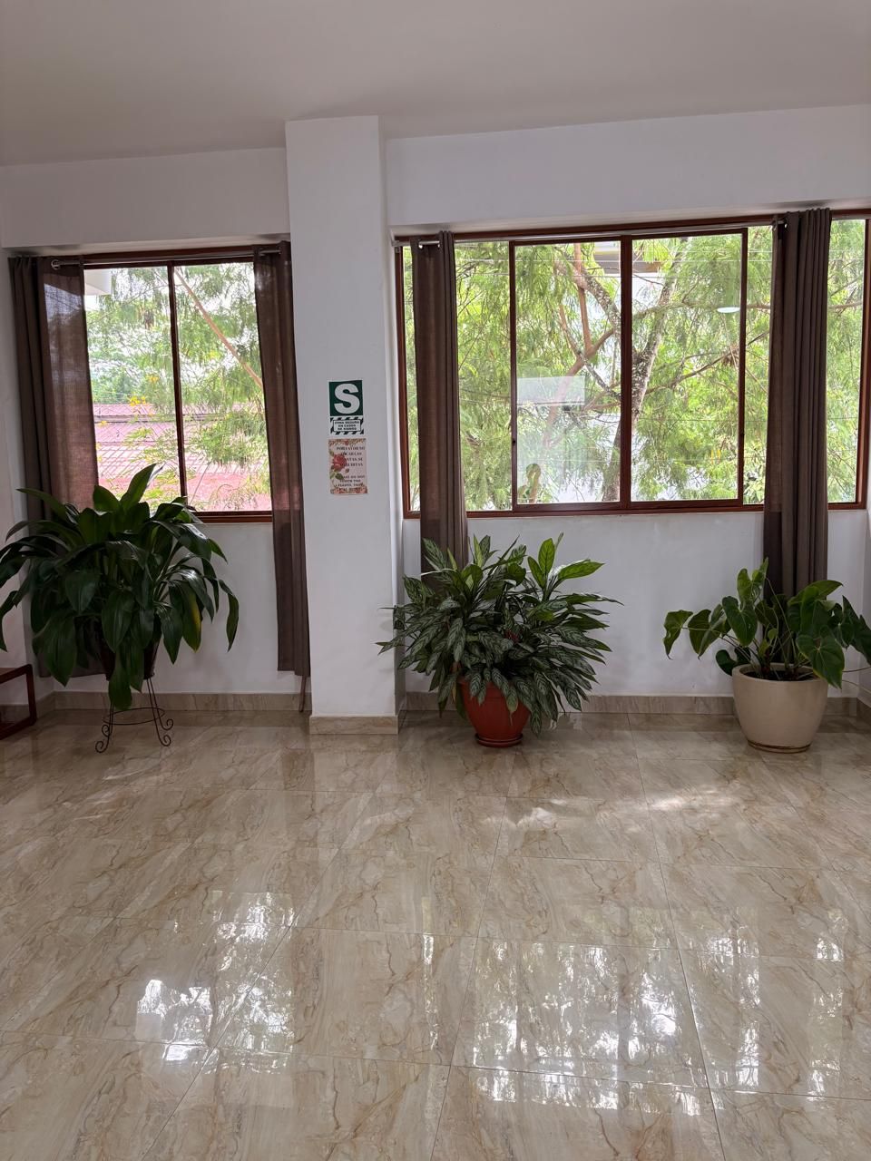 Una habitación con dos ventanas amplias, piso de mármol y tres plantas en macetas.