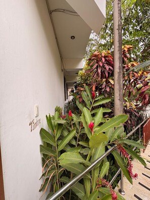 A staircase with metal railings, surrounded by lush green plants and red flowers. - Posada del Ángel Hotel (Tarapoto)