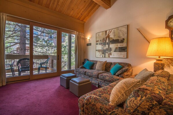 TV, fireplace, DVD player