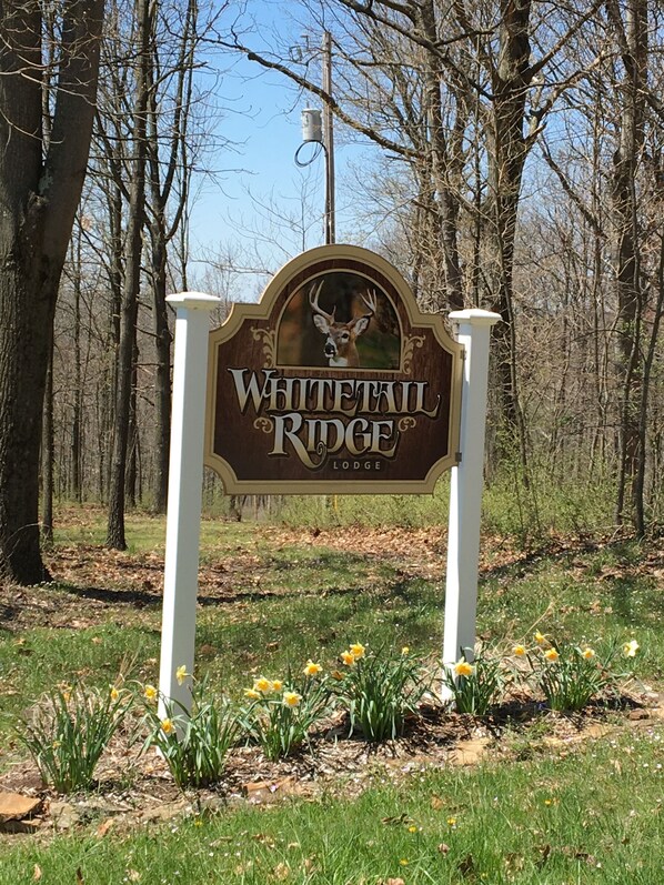 A sign for Whitetail Ridge Lodge with a deer head emblem, surrounded by trees and daffodils. - Premier Holmes County Getaway Between Mohican and Amish Country! (Big Prairie)