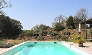 A swimming pool with a clear blue water, surrounded by a landscaped garden with various plants and trees.